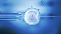 Darja and Vladimir Gogoljev v. Slovenia (No. 5112/23), concerning the international transfer of frozen embryos