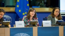 Protecting Children from Online Pornography: An Urgent Challenge for the European Union