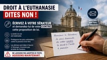 Euthanasia: Letter to my Senator