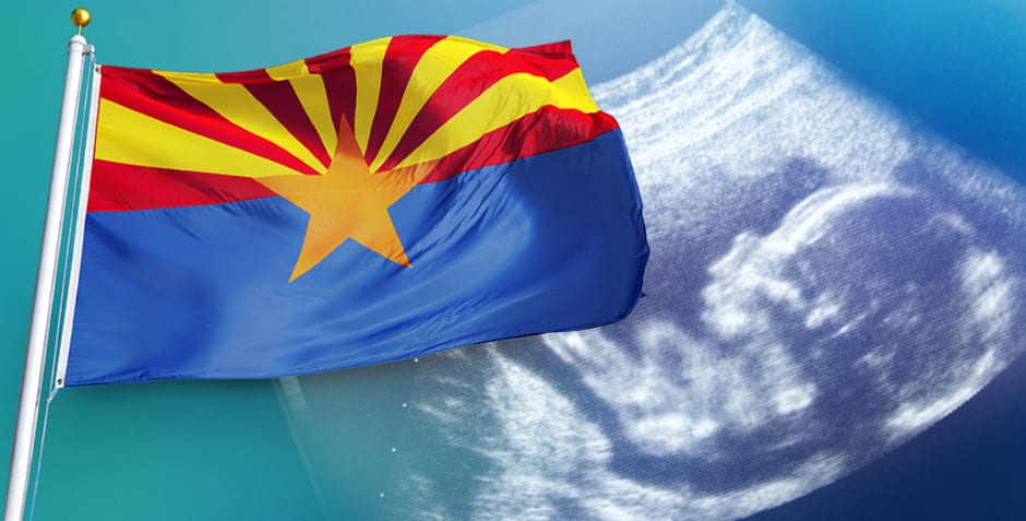 Victory: Arizona Supreme Court Removes Injunction From Abortion Statute That Prevents Abortions From Being Committed Except To Save the Life of the Mother
