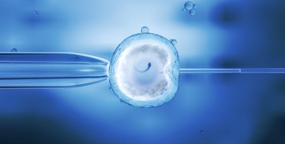 Darja and Vladimir Gogoljev v. Slovenia (No. 5112/23), concerning the international transfer of frozen embryos