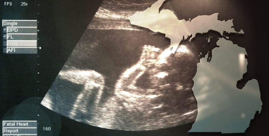 In a Matter of Just Hours, Michigan's Pre-Roe Abortion Law Could, Then Couldn't, Be Enforced