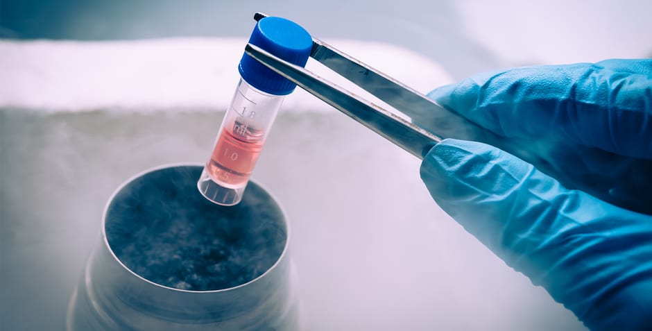 NIH Must Permanently End Taxpayer-Funded Destruction of Human Embryos: Ethical Stem Cell Research Is the Only Path Forward