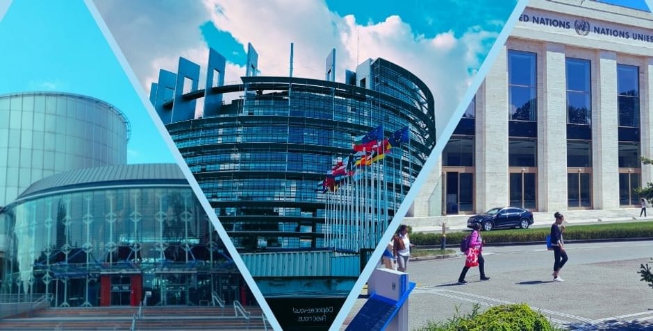 The Capture of the Human Rights Protection System by Large Private Foundations