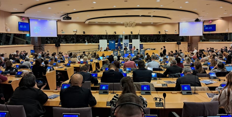 Supporting motherhood : Conference at the European Parliament