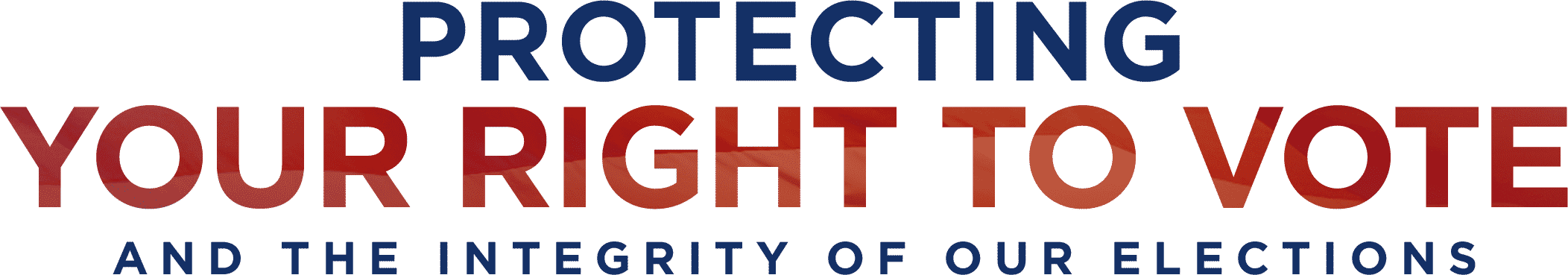 Defend election integrity and the constitution